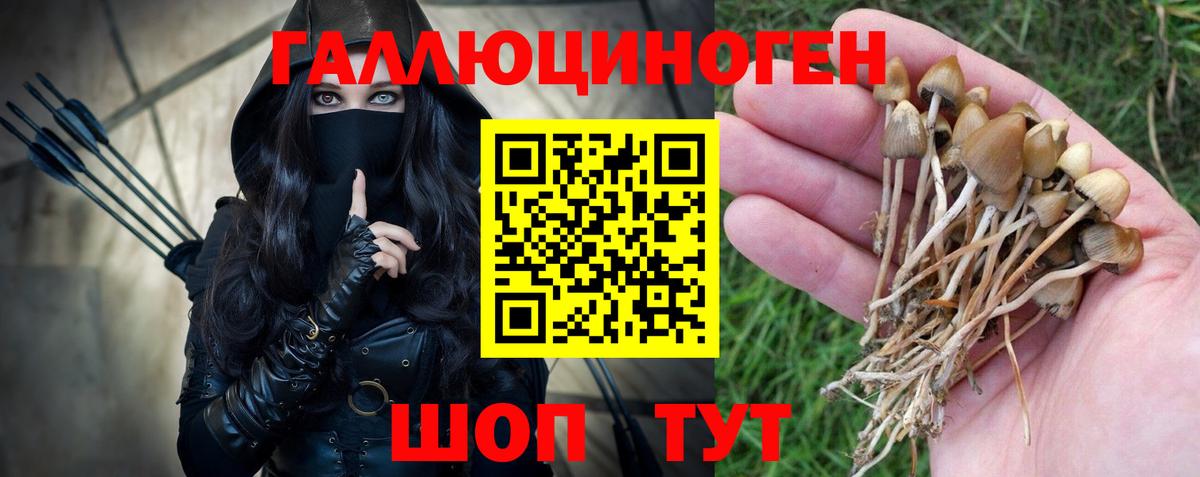 Псилоцибиновые грибы MAGIC MUSHROOMS Нефтекумск