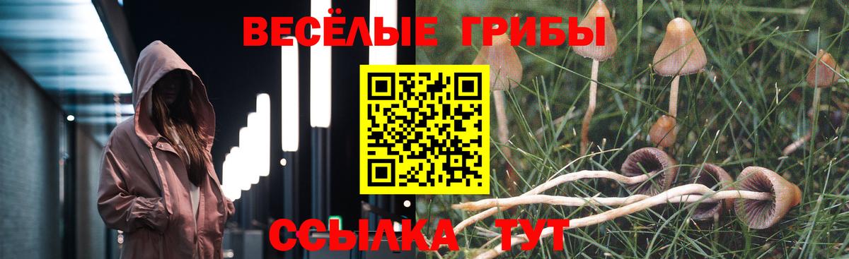 Галлюциногенные грибы Psilocybine cubensis  Вход с VPN  Нефтекумск 